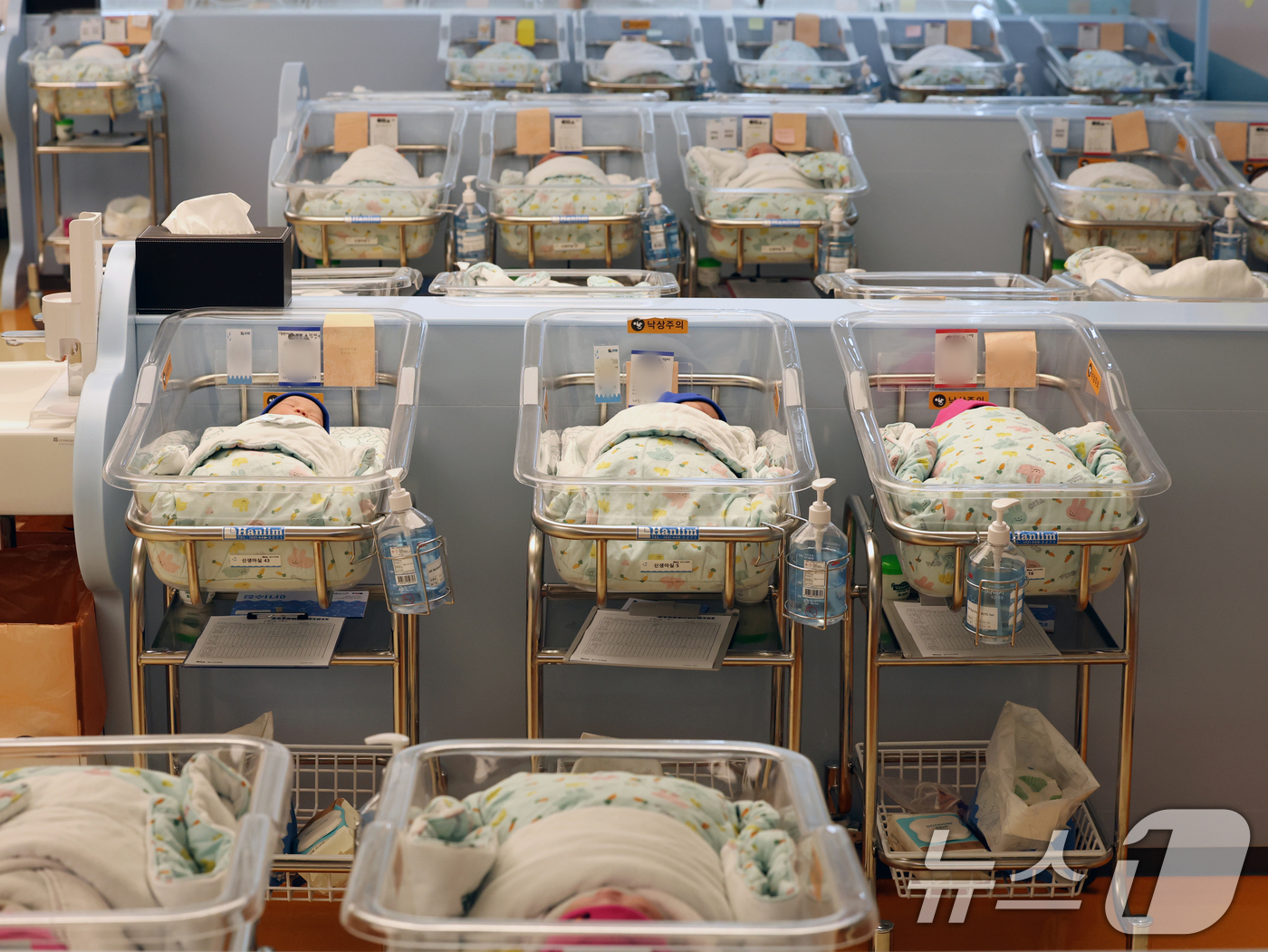 (고양=뉴스1) 황기선 기자 = 25일 경기 고양시 일산차병원 신생아실에서 아기들이 잠을 자고 있다.통계청이 이날 발표한 '2025년 5월 인구동향'에 따르면, 지난 5월 출생아 …