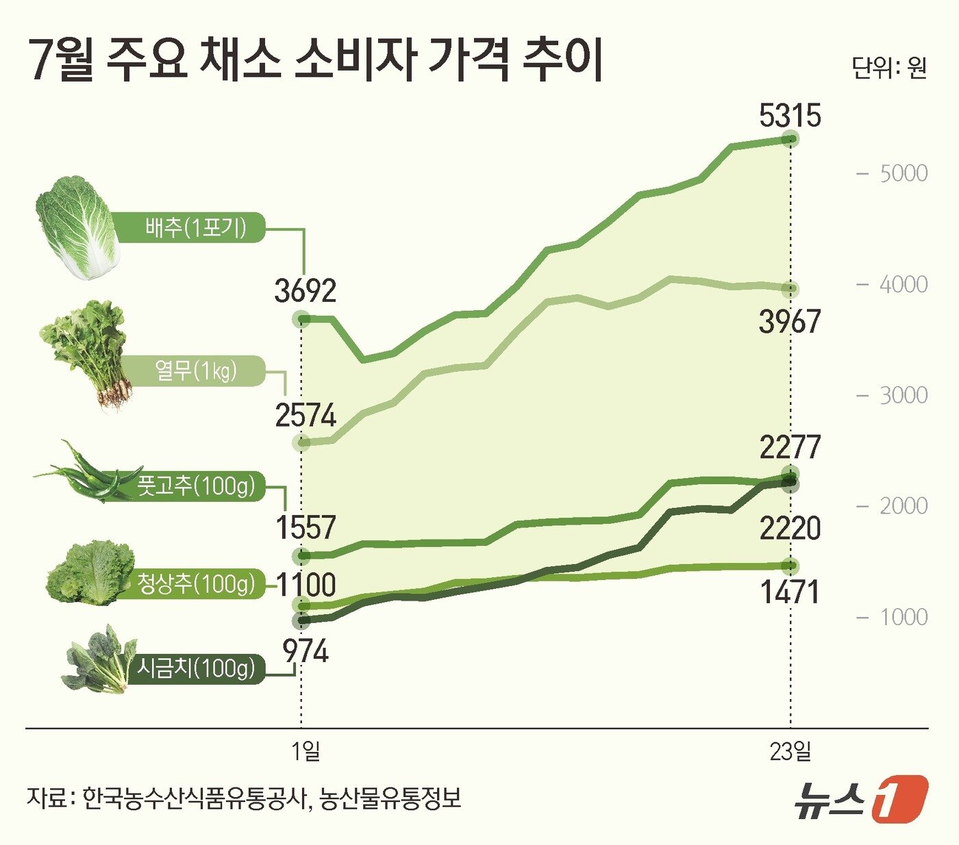 본문 이미지 - ⓒ News1 김초희 디자이너
