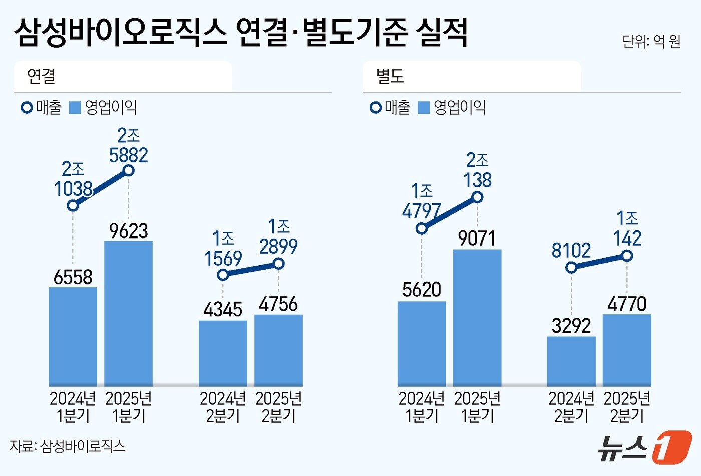 본문 이미지 - ⓒ News1 양혜림 디자이너