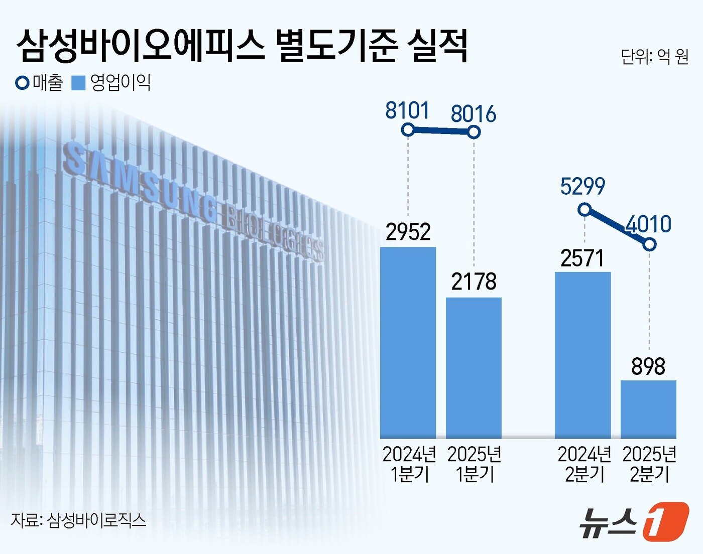 본문 이미지 - ⓒ News1 양혜림 디자이너