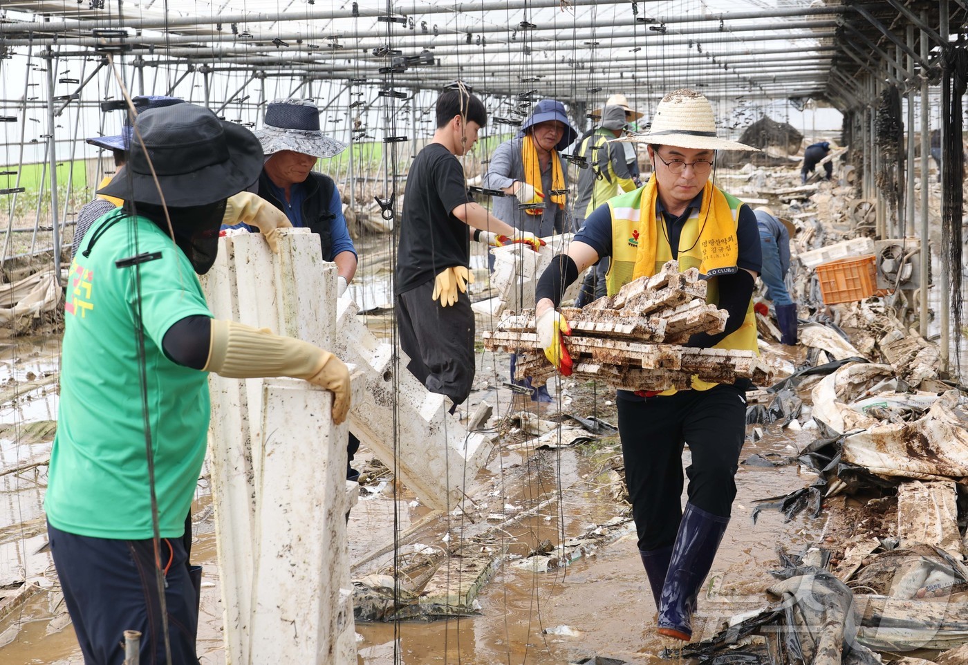 (대전=뉴스1) = 박희조 대전 동구청장과 자원봉사자들이 23일 충남 예산군 수해복구 현장에서 봉사활동을 하고 있다.(대전 동구 제공. 재판매 및 DB금지) 2025.7.23/뉴스 …