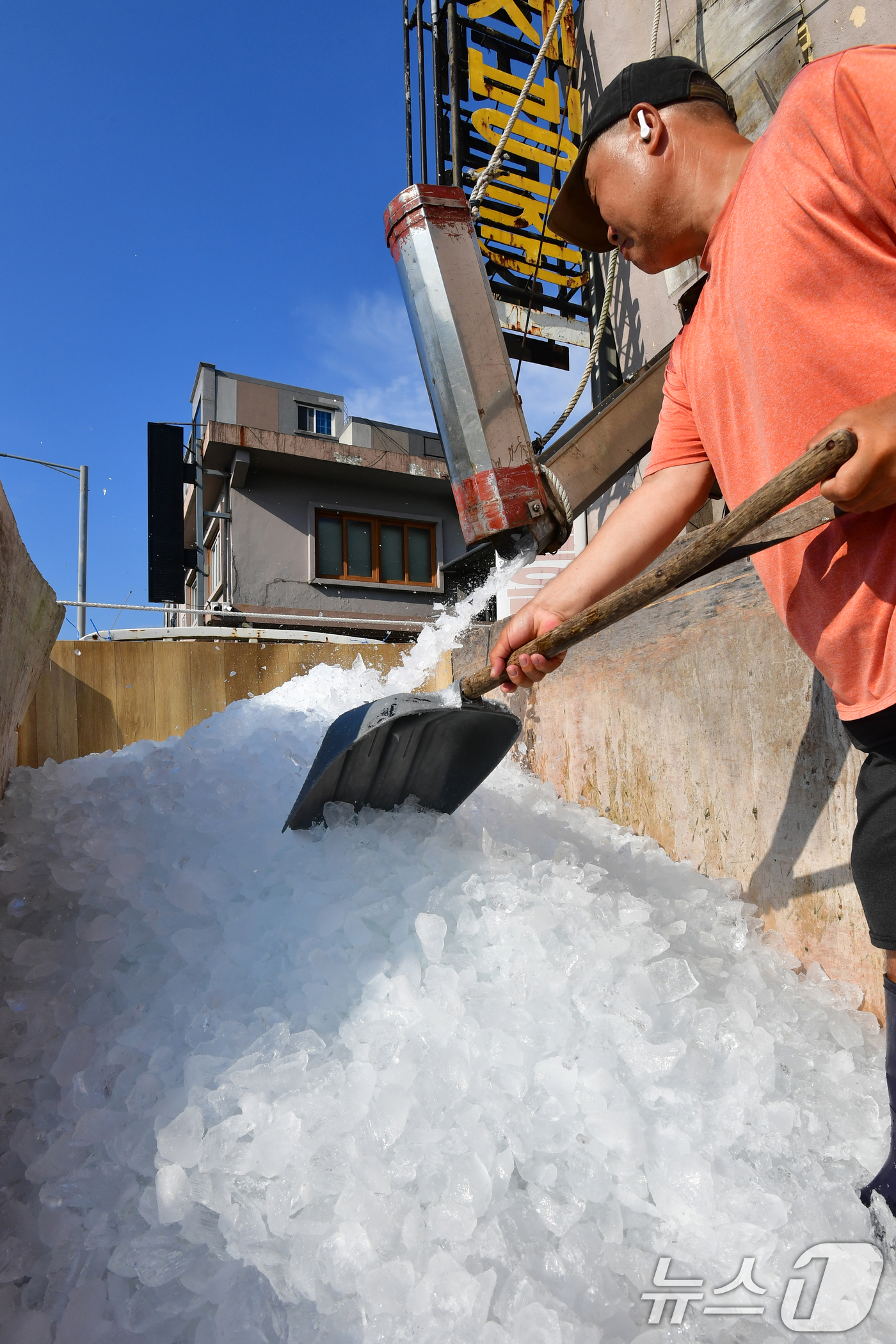 (포항=뉴스1) 최창호 기자 = 폭염이 기승을 부리고 있는 24일 오전 경북 포항시 북구 동빈동 얼음공장에서 죽도시장 상인이 1톤 화물차에 얼음을 담고 있다. 2025.7.24/뉴 …