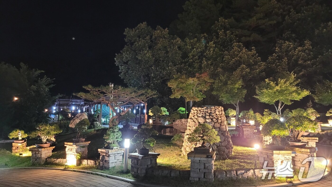 본문 이미지 - 양구수목원 야간개장./뉴스1