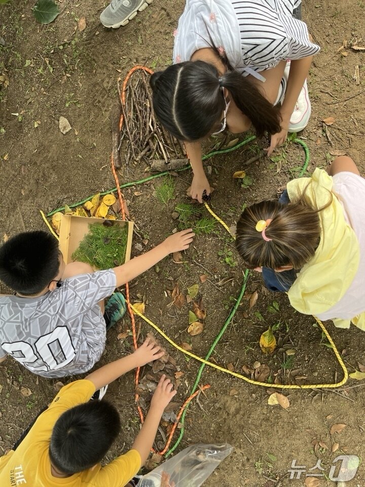 본문 이미지 - 학생들이 별모양의 탄소중립 퍼포먼스를 선보이고 있다. (전남도교육청 제공, 재판매 및 DB 금지)/뉴스1 