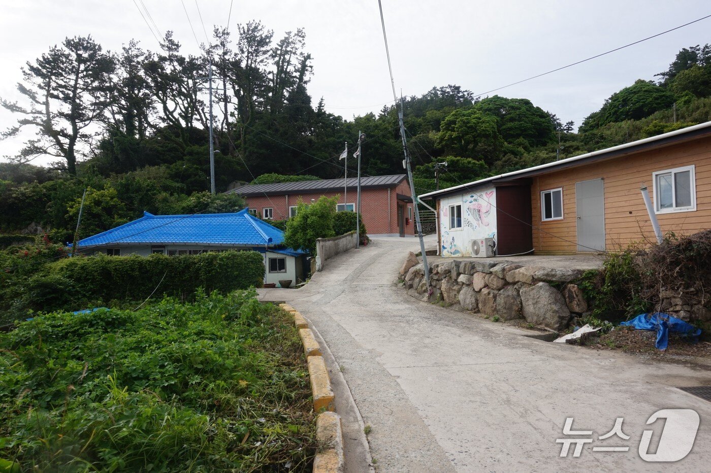 본문 이미지 - 산마루에 자리한 청등도 마을회관과 민가.  2025.7.25/뉴스1 ⓒ News1 조영석 기자