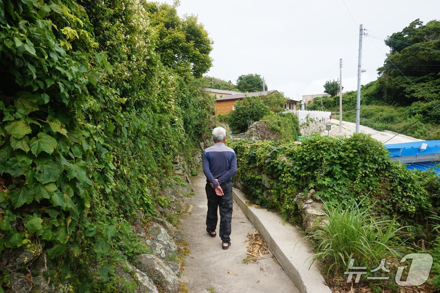 본문 이미지 - 헬기장으로 이어지는 마을 뒷길. 2025.7.25/뉴스1 ⓒ News1 조영석 기자
