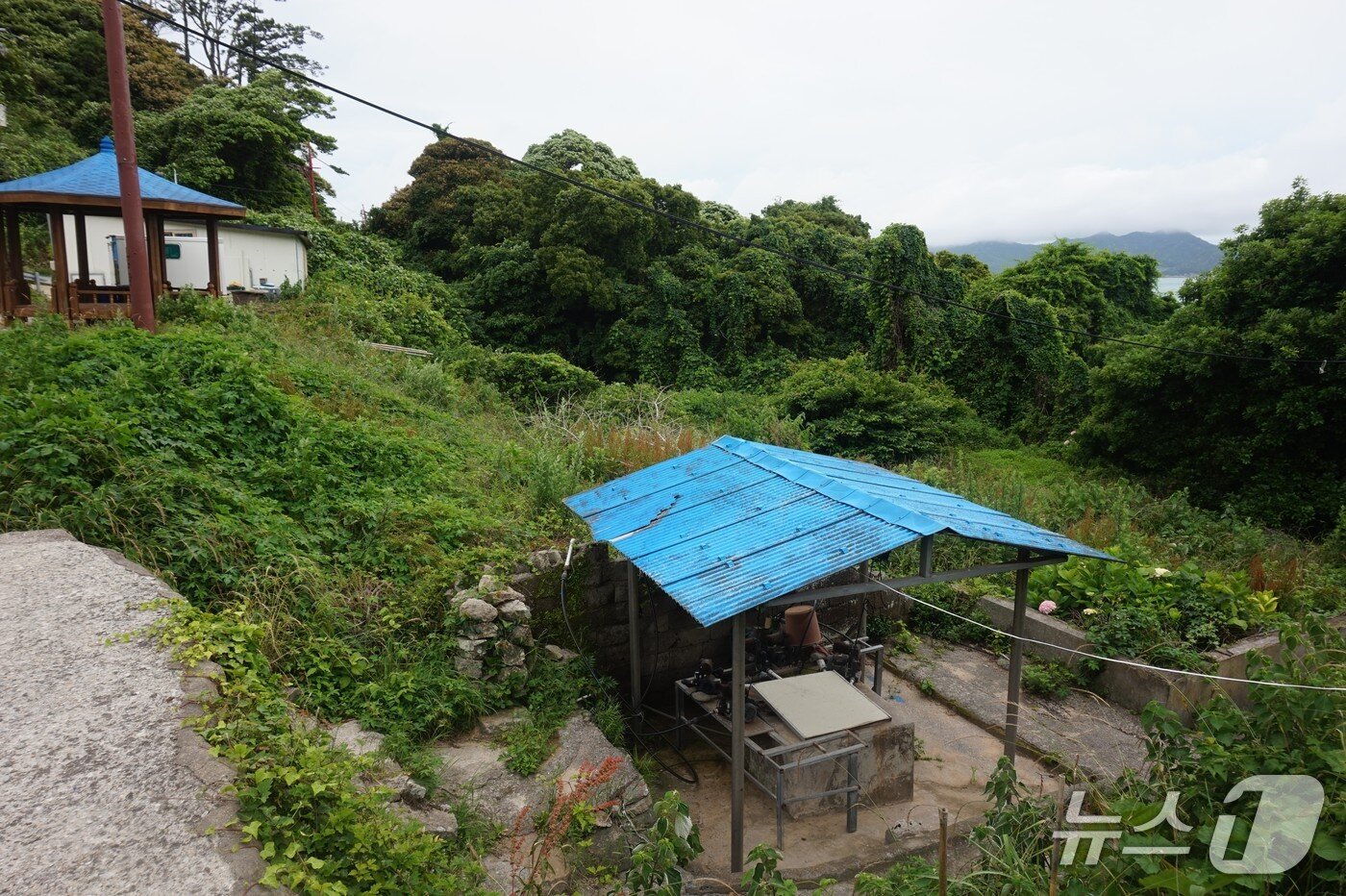 본문 이미지 - 마을앞 우물터. 우물터 아래에  &#39;청등도 분교&#39;가 있었으나 지금은 흔적을 찾기 힘들다. 2025.7.25/뉴스1 ⓒ News1 조영석 기자 