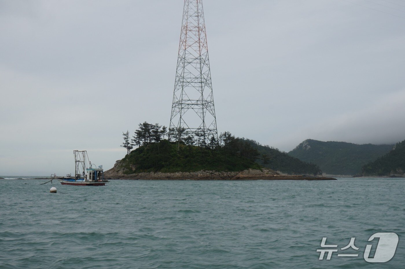 본문 이미지 - 청등도 앞 솔섬.  2025.7.25/뉴스1 ⓒ News1 조영석 기자 