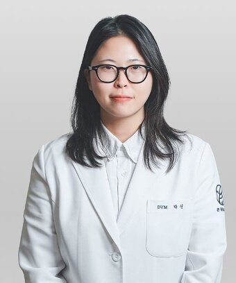 본문 이미지 - 박신 본동물의료센터 내과 과장 ⓒ 뉴스1