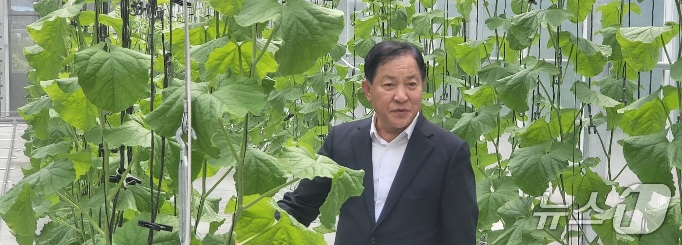 본문 이미지 - 심재국 강원 평창군수가 24일 평창군농업기술센터 내 스마트팜 시설에서 재배되는 멜론 작물을 살펴보고 있다. 2025.7.24/뉴스1 신관호 기자