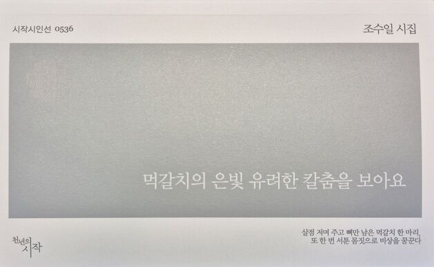 조수일 시인 '먹갈치의 은빛 유려한 칼춤을 보아요' 시집 출간