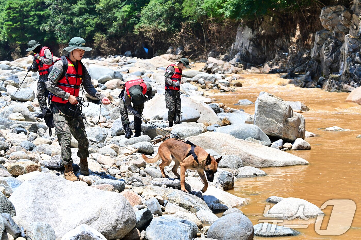 본문 이미지 - 육군 39사단 장병들이 24일 경남 산청 일대에서 군견을 동원해 실종자 수색을 하고 있다.&#40;육군 제공. 재판매 및 DB금지&#41; 2025.7.24/뉴스1 ⓒ News1 민경석 기자