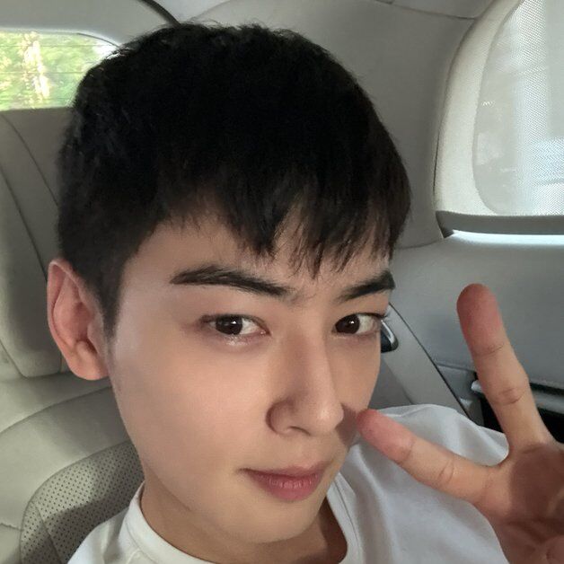 '현역 입대 D-3' 차은우 "아직 실감 안 나, 잊지 말아줘…사랑해"
