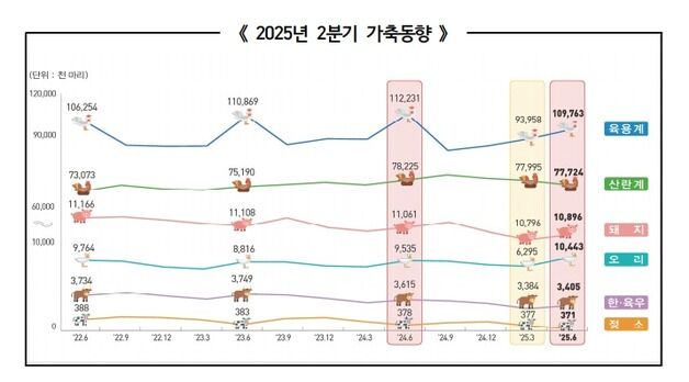 2분기 오리 사육 9.5% 증가…한우·돼지·닭 줄어