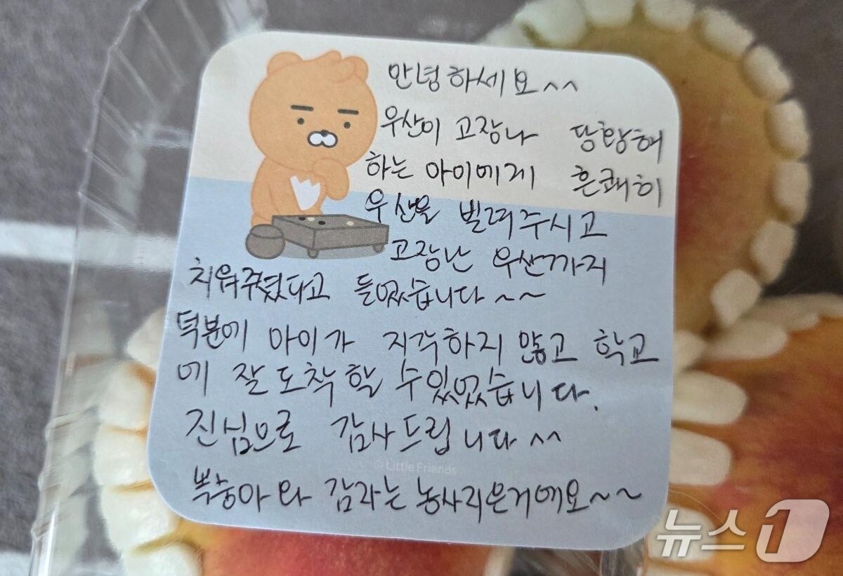 본문 이미지 - ('보배드림')