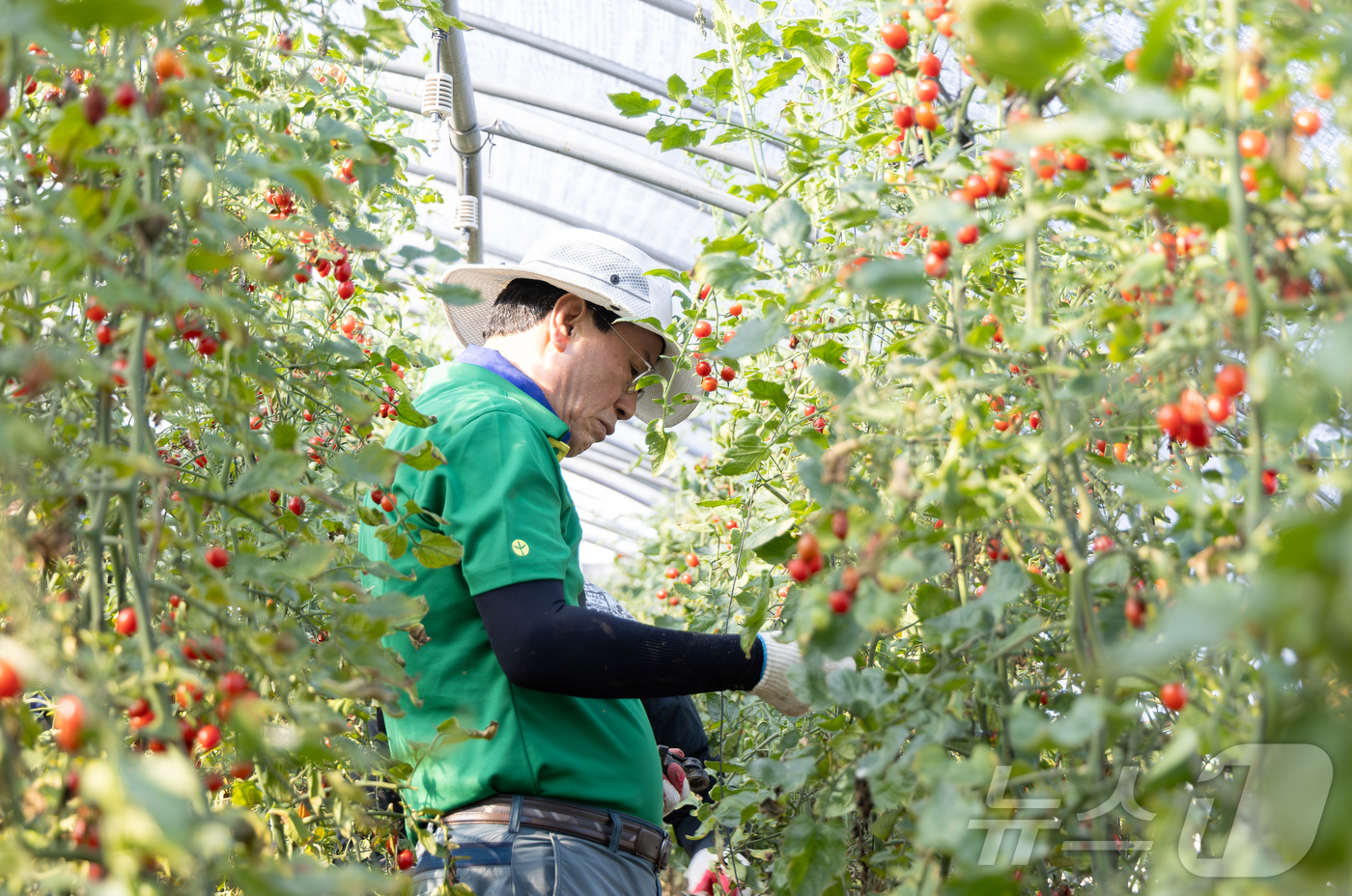 (청양=뉴스1) 이동원 기자 = 김돈곤 청양군수가 25일 집중호우로 큰 피해를 입은 예산군 대흥면 손지2리 일원에서 수해 복구 봉사활동을 펼쳤다.이번 현장 지원에는 김돈곤 군수를 …