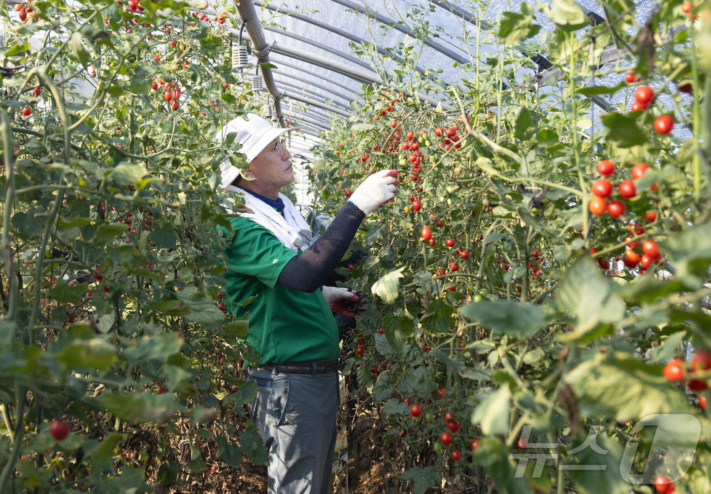 (청양=뉴스1) 이동원 기자 = 김돈곤 청양군수가 25일 집중호우로 큰 피해를 입은 예산군 대흥면 손지2리 일원에서 수해 복구 봉사활동을 펼쳤다.이번 현장 지원에는 김돈곤 군수를 …