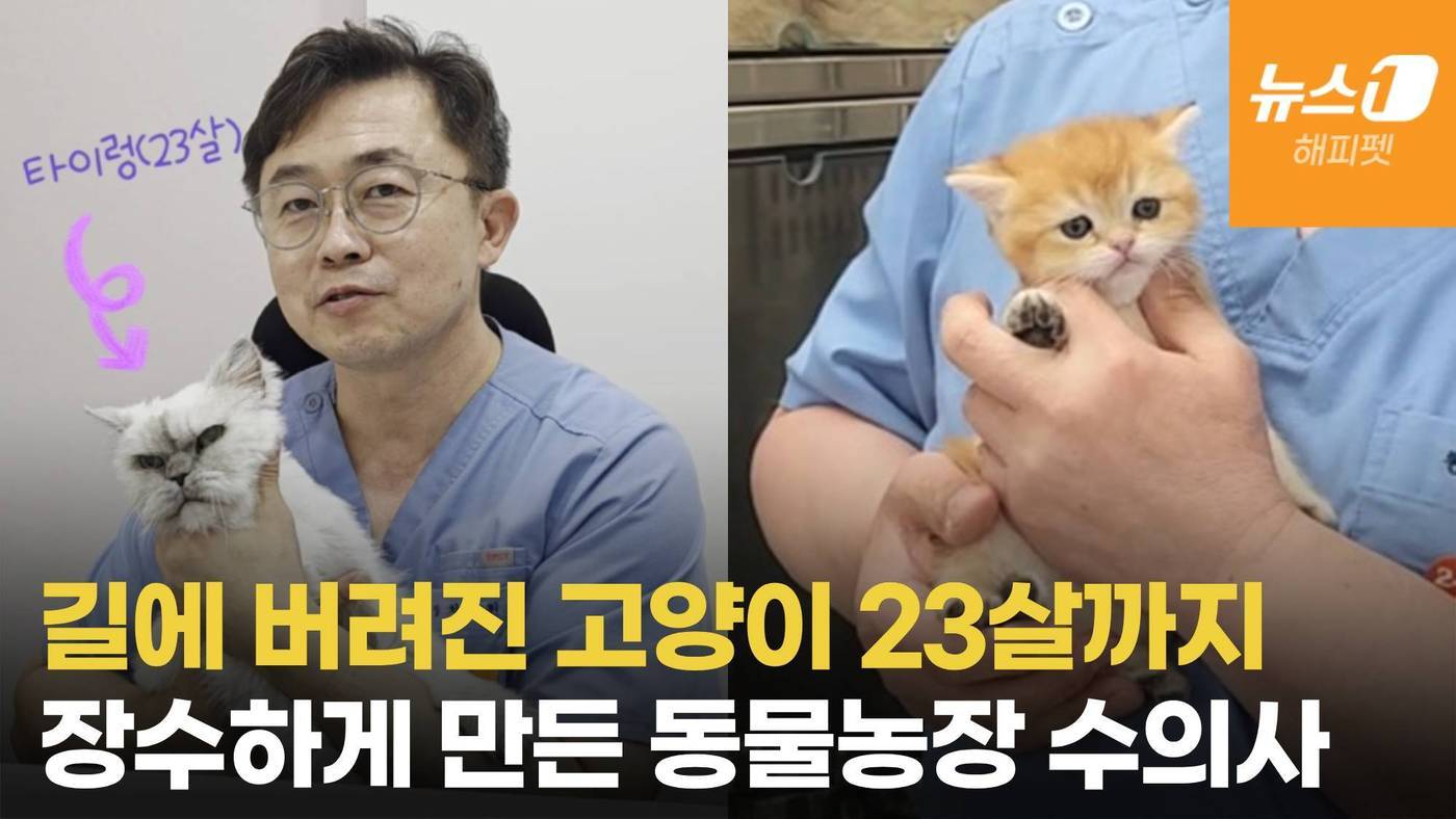 본문 이미지 - 차진원 월드펫동물메디컬센터 원장이 반려동물 입양에 대한 신중함을 당부했다. ⓒ 뉴스1 한송아 기자