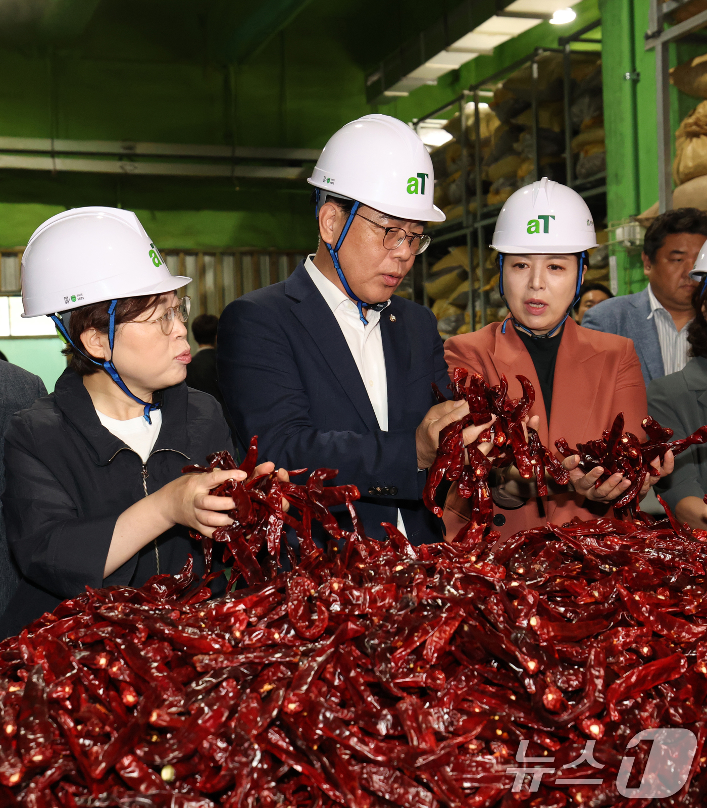 (이천=뉴스1) 김영운 기자 = 송언석 국민의힘 비상대책위원장 겸 원내대표가 25일 경기 이천시 대월면 aT 이천비축기지를 방문해 보관 중인 건고추를 들어보이고 있다. 2025.7 …