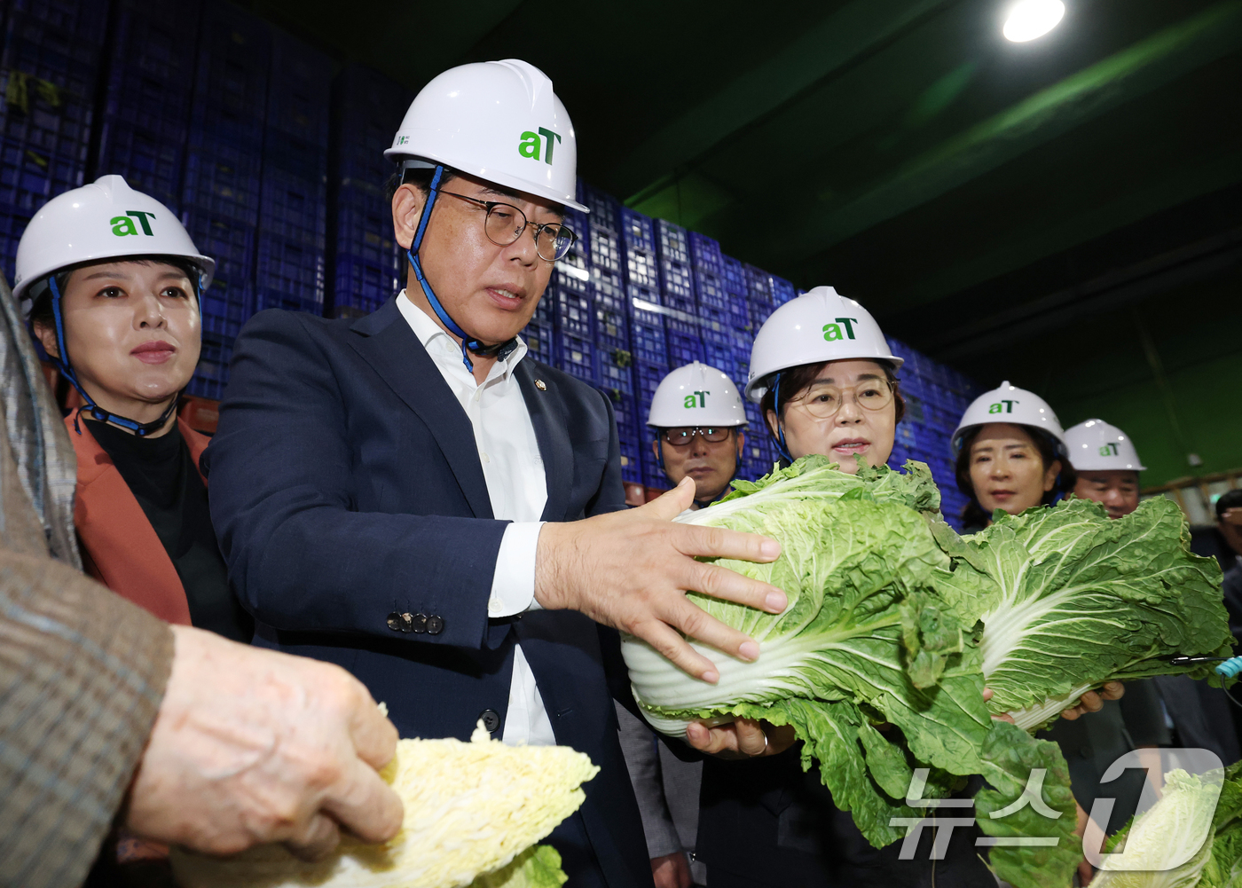 (이천=뉴스1) 김영운 기자 = 송언석 국민의힘 비상대책위원장 겸 원내대표가 25일 경기 이천시 대월면 aT 이천비축기지를 방문해 보관 중인 배추를 들어보고 있다. 2025.7.2 …