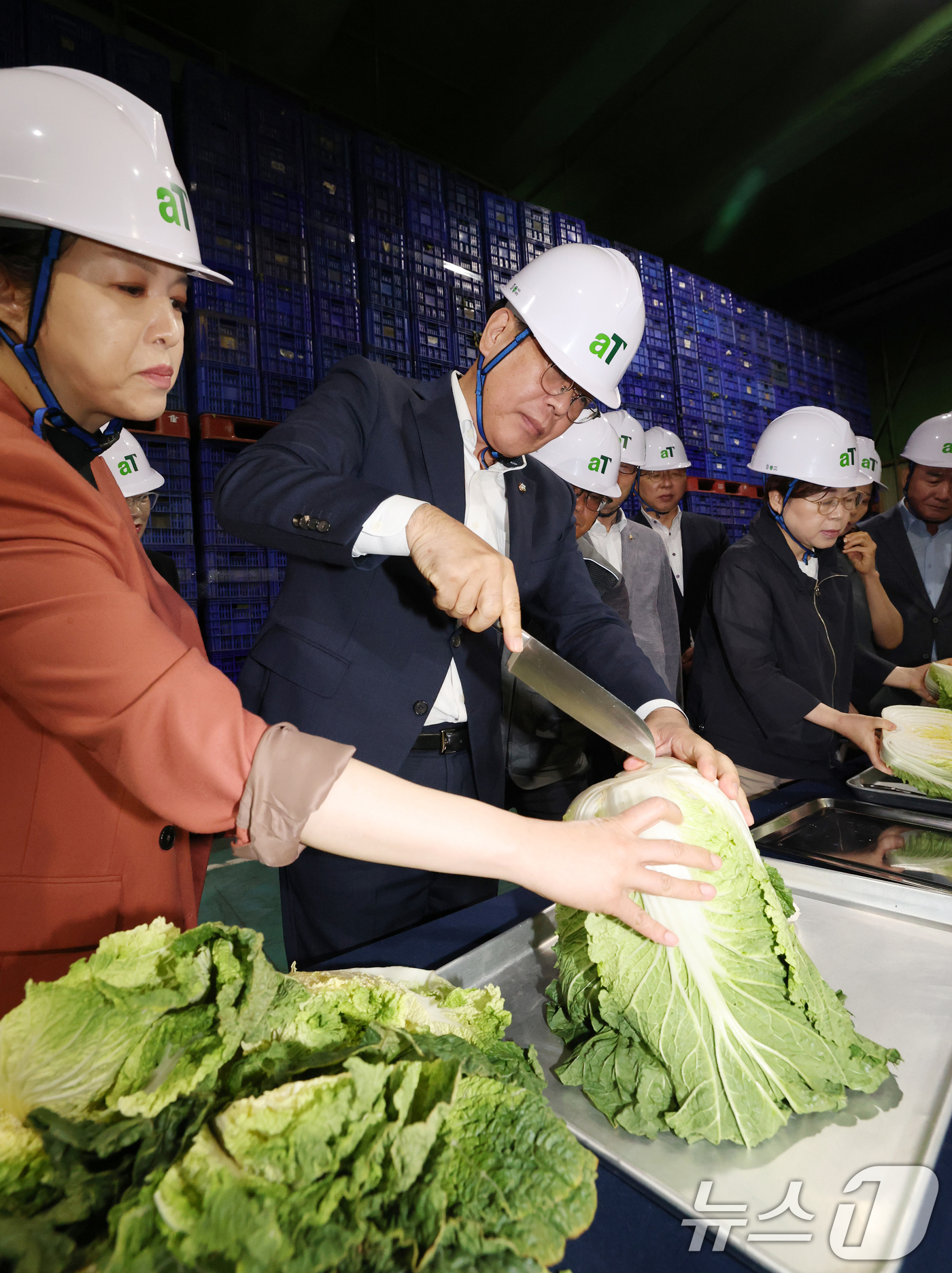 (이천=뉴스1) 김영운 기자 = 송언석 국민의힘 비상대책위원장 겸 원내대표가 25일 경기 이천시 대월면 aT 이천비축기지를 방문해 보관 중인 배추를 자르고 있다. 2025.7.25 …
