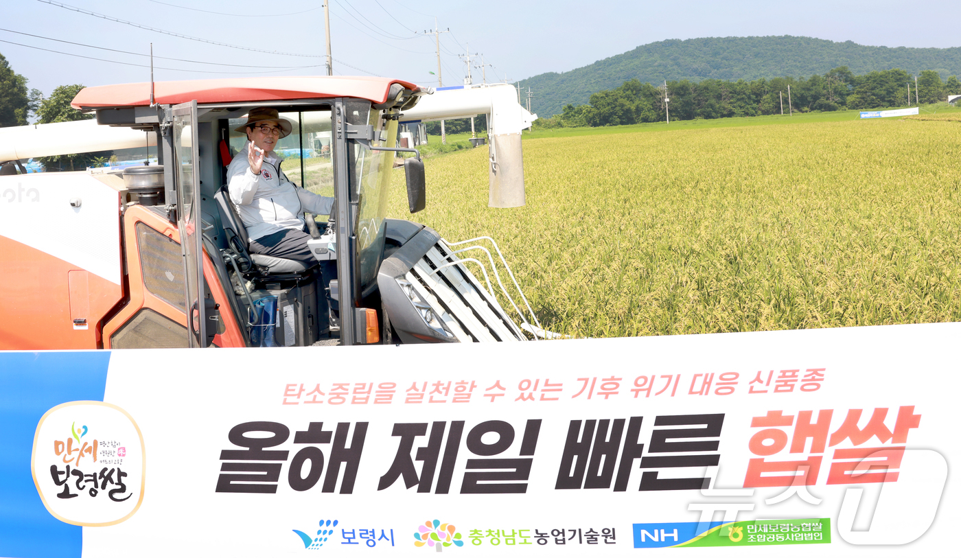 (보령=뉴스1) 이동원 기자 = 김동일 보령시장이 25일 충남 보령시 청소면 일원에서 전국 최초로 수확하는 초조생종 벼 ‘빠르미2’ 시연회에 참석했다.빠르미2’는 기존 빠르미와 …