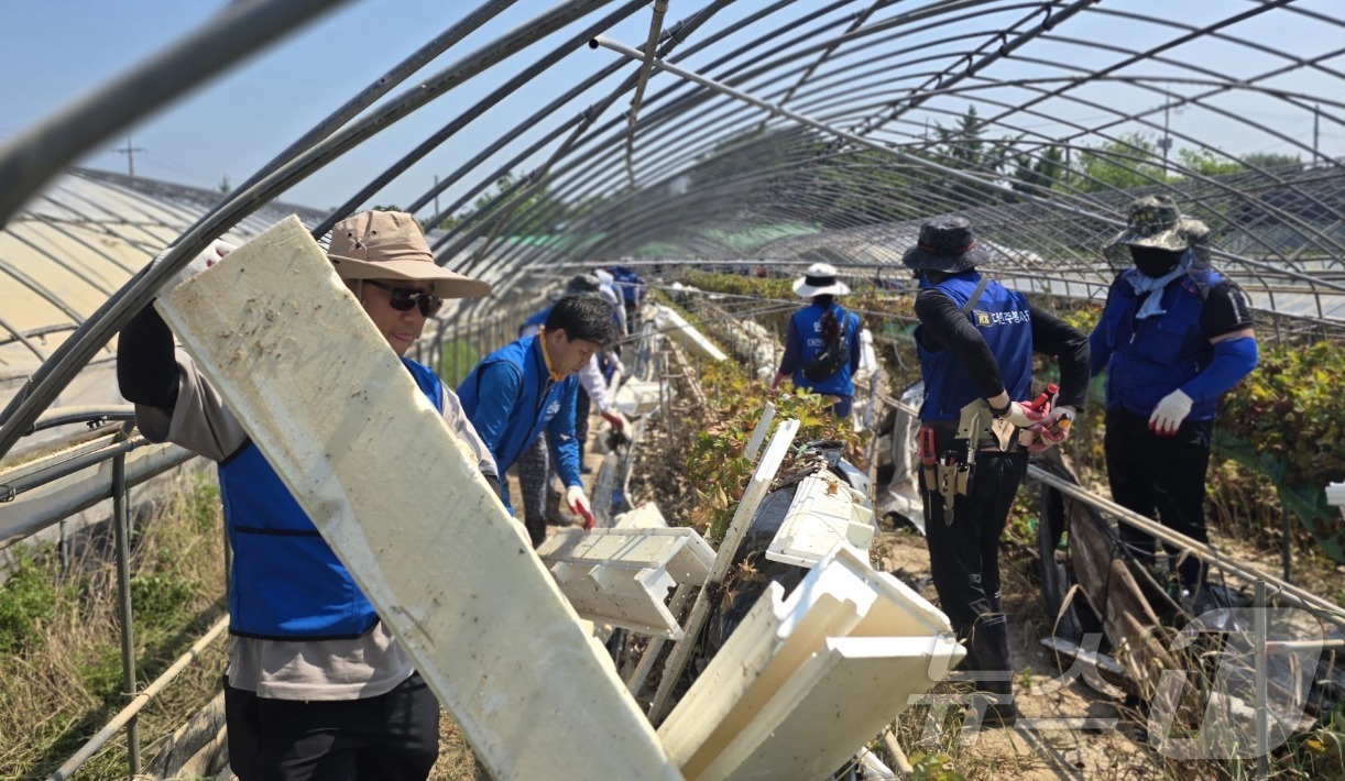 (대전=뉴스1) 이동원 기자 = 더불어민주당 대전 유성구을 당원들이 25일 최근 집중호우로 큰 피해를 입은 충남 예산군 삽교읍 일원 수해현장을 찾아 복구지원활동을 펼쳤다.황정아 의 …
