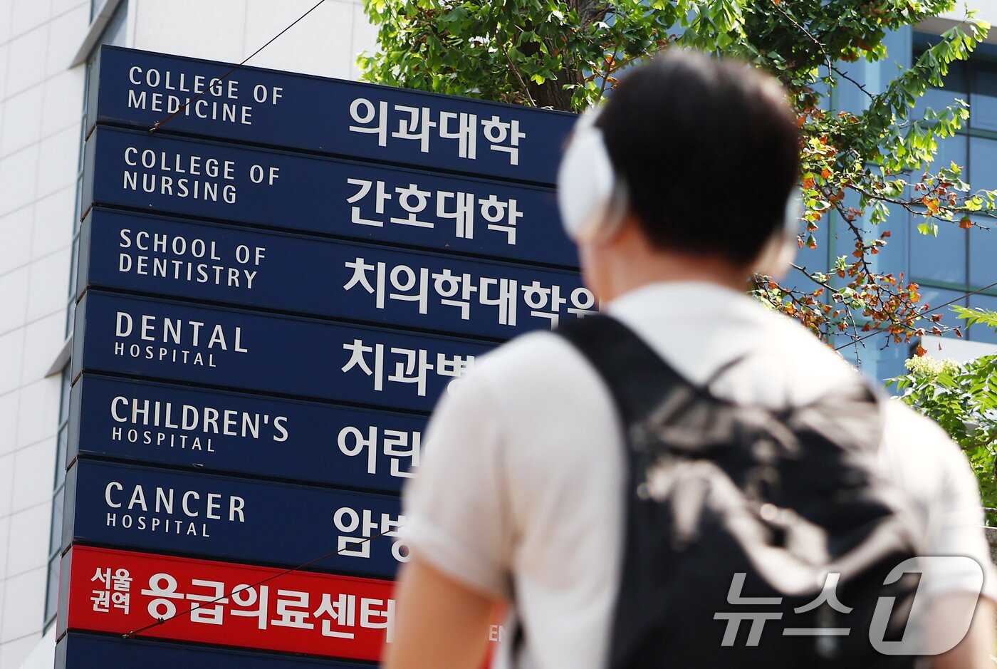 본문 이미지 - 서울 시내의 한 의과대학 모습. /뉴스1 ⓒ News1 김민지 기자