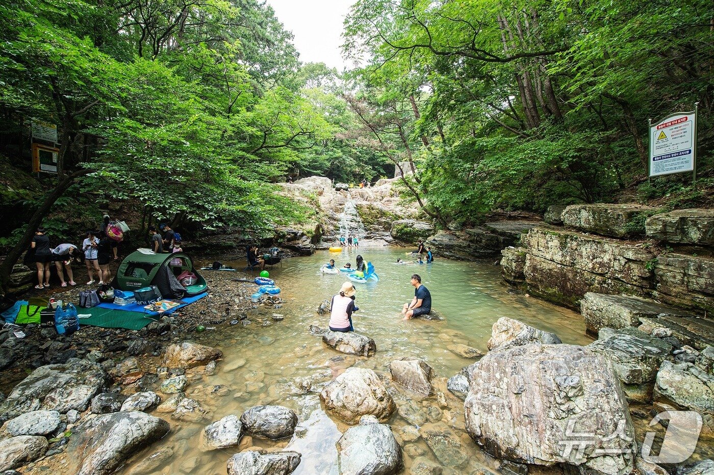 본문 이미지 - 김해 장유 대청 계곡.&#40;김해시 제공. 재판매 및 DB금지&#41;