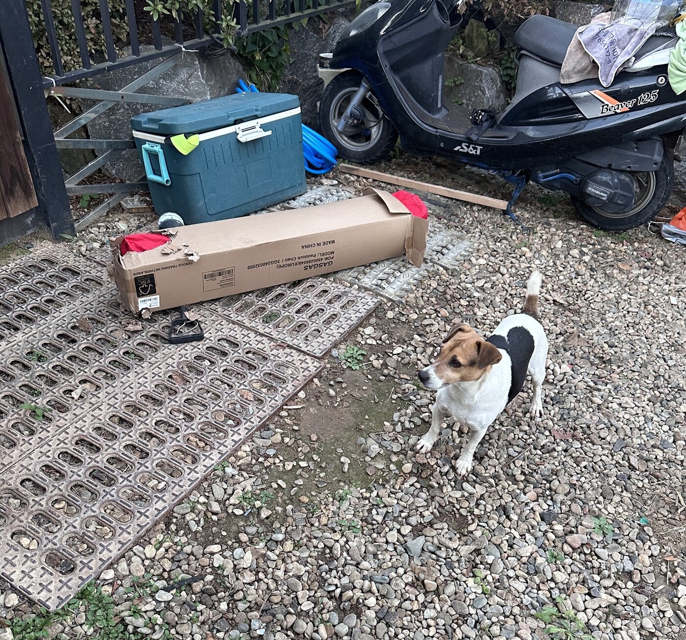 본문 이미지 - 탈출 후 택배 언박싱 해놓은 현장&#40;소상진 제공&#41; ⓒ 뉴스1