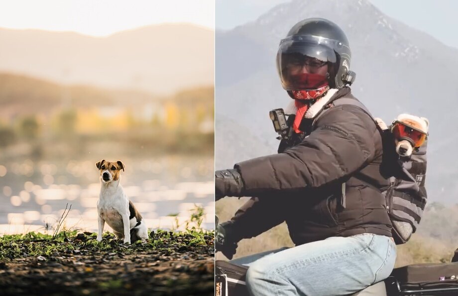본문 이미지 - 취미 생활도 함께하는 보호자 소상진 씨와 반려견 히트&#40;소상진 제공&#41; ⓒ 뉴스1