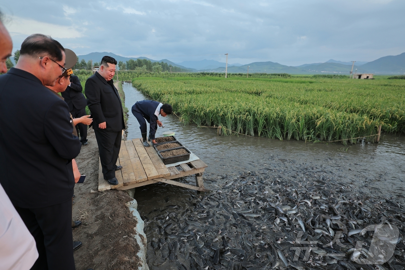(평양 노동신문=뉴스1) = 북한 노동당 기관지 노동신문은 김정은 당 총비서가 지난 24일 논판양어 사업에 크게 기여한 군부대 후방기지를 방문해 이들을 격려하고 양어 생산의 중요성 …