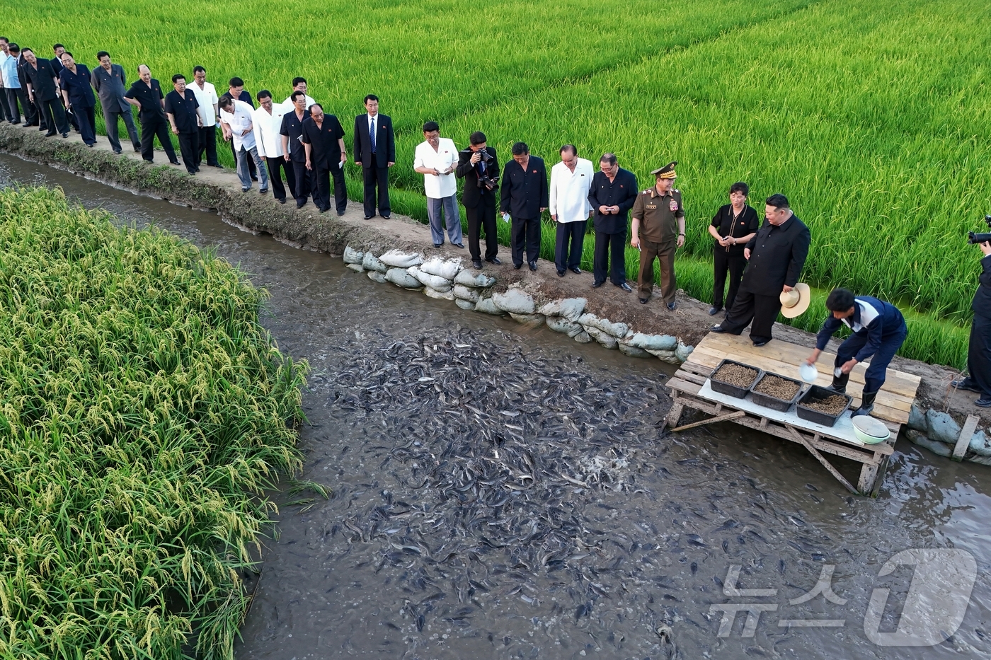(평양 노동신문=뉴스1) = 북한 노동당 기관지 노동신문은 김정은 당 총비서가 지난 24일 논판양어 사업에 크게 기여한 군부대 후방기지를 방문해 이들을 격려하고 양어 생산의 중요성 …