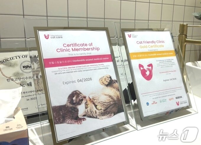 본문 이미지 - 원헬스동물의료센터가 국제고양이의학협회(ISFM) 고양이 친화 동물병원 골드 레벨 인증을 획득했다(동물병원 제공). ⓒ 뉴스1