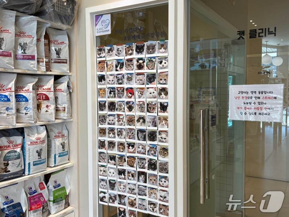 본문 이미지 - 원헬스동물의료센터가 국제고양이의학협회(ISFM) 고양이 친화 동물병원 골드 레벨 인증을 획득했다(동물병원 제공). ⓒ 뉴스1