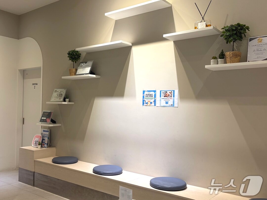 본문 이미지 - 원헬스동물의료센터가 국제고양이의학협회(ISFM) 고양이 친화 동물병원 골드 레벨 인증을 획득했다(동물병원 제공). ⓒ 뉴스1