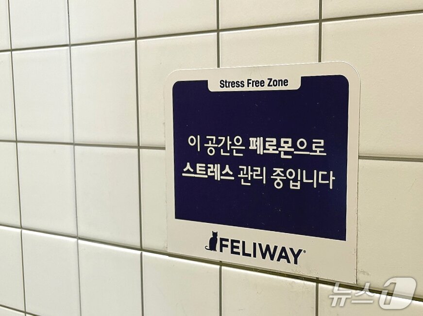 본문 이미지 - 원헬스동물의료센터가 국제고양이의학협회(ISFM) 고양이 친화 동물병원 골드 레벨 인증을 획득했다(동물병원 제공). ⓒ 뉴스1