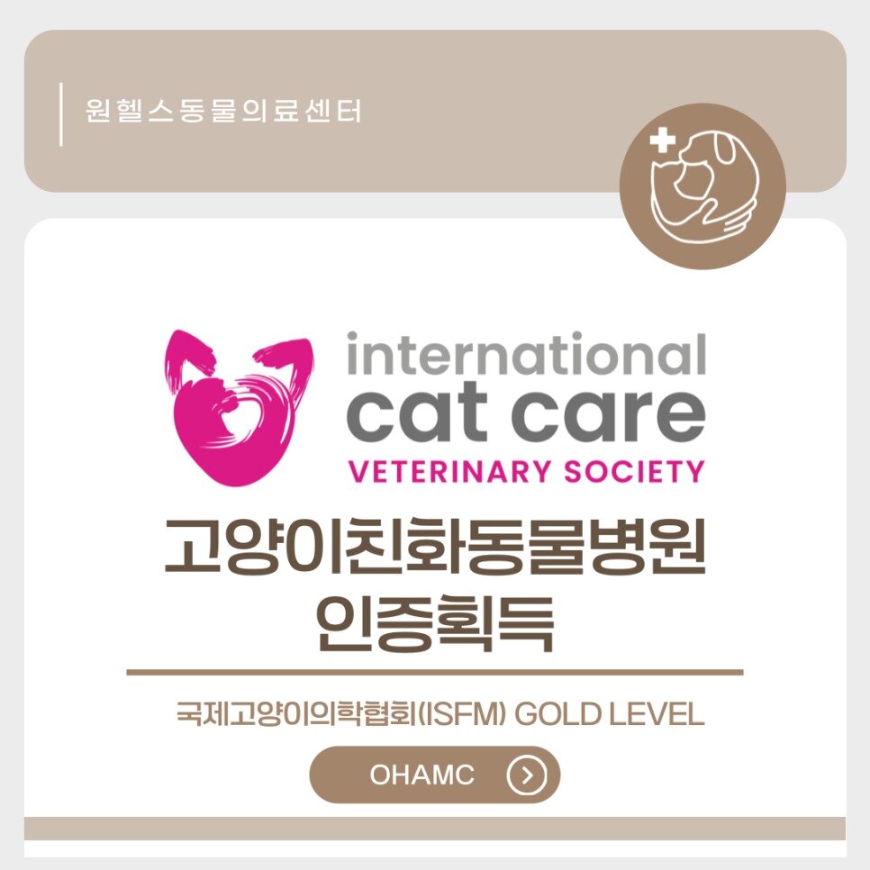 본문 이미지 - 원헬스동물의료센터가 국제고양이의학협회(ISFM) 고양이 친화 동물병원 골드 레벨 인증을 획득했다(동물병원 제공). ⓒ 뉴스1
