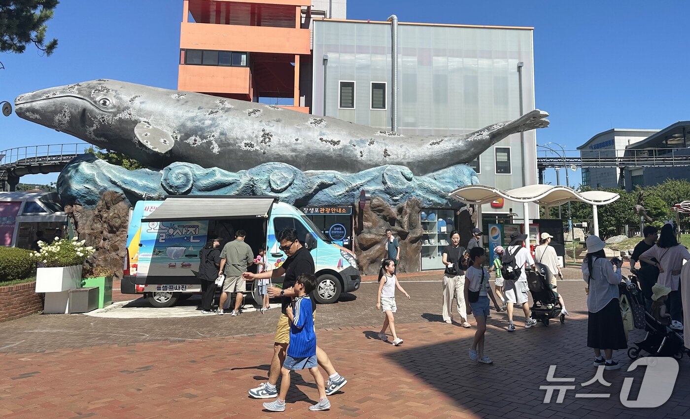 본문 이미지 - 울산 남구 장생포 고래박물관 광장에서 '2025 낭만의 장생포' 행사가 진행되고 있다. 2025.7.26/뉴스1 ⓒ News1 조민주 기자
