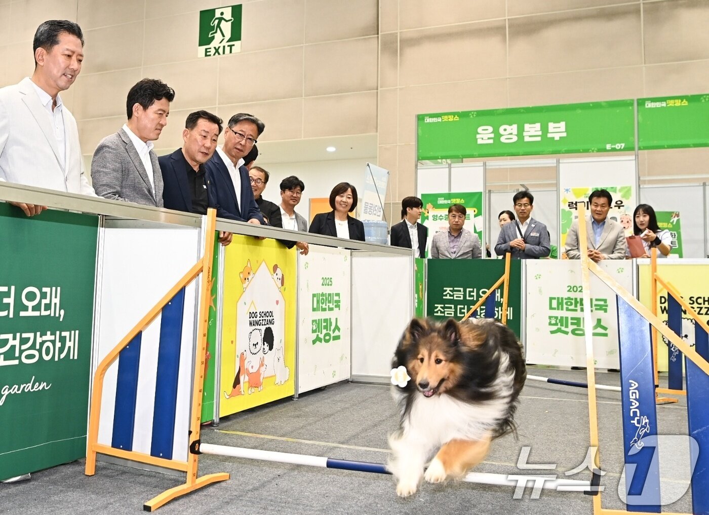 본문 이미지 - 김장호 경북 구미시장과 내빈들이 26일 구미코에서 열린 대한민국 펫캉스 댕댕이 놀이존에서 반려견들이 뛰어노는 모습을 지켜보고 있다. 2025.7.26/뉴스1 ⓒ News1 정우용 기자