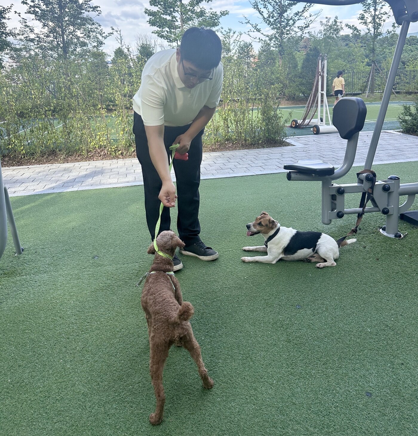 본문 이미지 - 사회화 교육 도우미견으로 활동하는 히트&#40;소상진 제공&#41; ⓒ 뉴스1