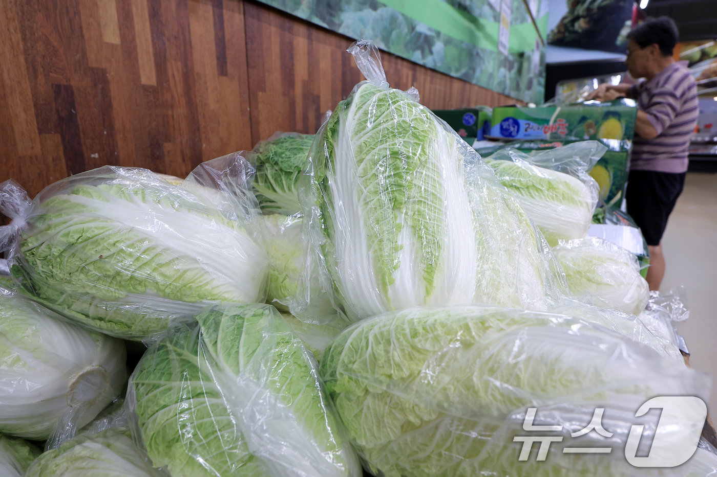 (서울=뉴스1) 박정호 기자 = 최근 이어진 폭염에 폭우까지 겹치면서 배추·시금치 등 주요 농산물 가격도 한 달 동안 최대 2배 이상 상승한 27일 서울 서초구의 한 대형마트를 찾 …