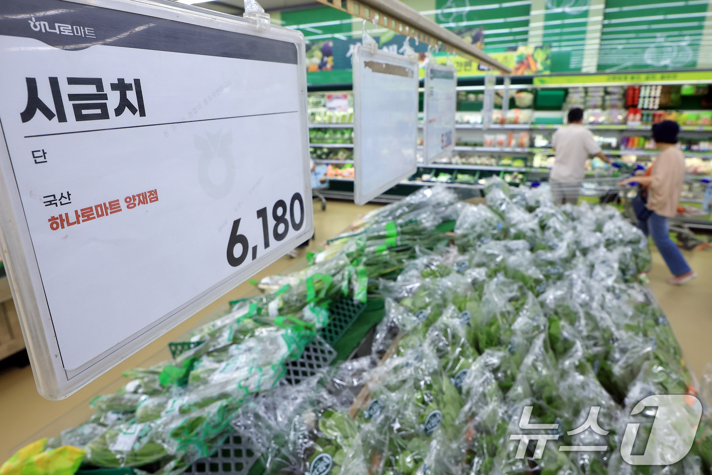 (서울=뉴스1) 박정호 기자 = 최근 이어진 폭염에 폭우까지 겹치면서 배추·시금치 등 주요 농산물 가격도 한 달 동안 최대 2배 이상 상승한 27일 서울 서초구의 한 대형마트에 시 …