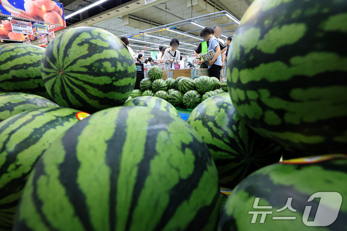 (서울=뉴스1) 박정호 기자 = 최근 이어진 폭염에 폭우까지 겹치면서 주요 농산물 가격이 한 달 동안 최대 2배 이상 상승한 27일 서울 서초구의 한 대형마트를 찾은 고객들이 수박 …