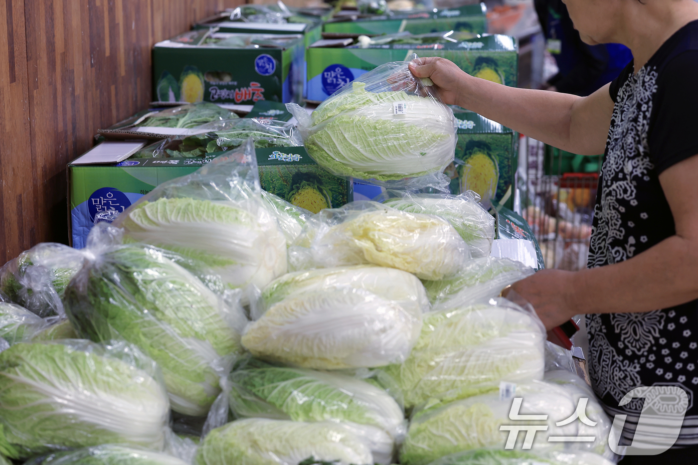 (서울=뉴스1) 박정호 기자 = 최근 이어진 폭염에 폭우까지 겹치면서 배추·시금치 등 주요 농산물 가격도 한 달 동안 최대 2배 이상 상승한 27일 서울 서초구의 한 대형마트를 찾 …