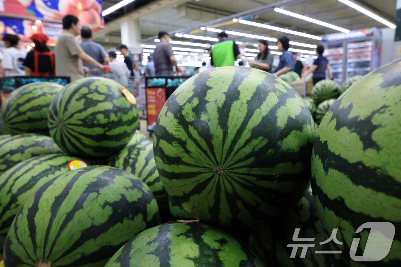 (서울=뉴스1) 박정호 기자 = 최근 이어진 폭염에 폭우까지 겹치면서 주요 농산물 가격이 한 달 동안 최대 2배 이상 상승한 27일 서울 서초구의 한 대형마트를 찾은 고객들이 수박 …