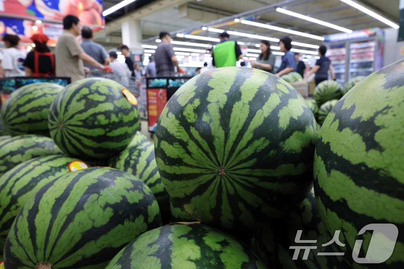 본문 이미지 -  27일 서울 서초구의 한 대형마트를 찾은 고객들이 수박을 고르고 있다. 2025.7.27/뉴스1 ⓒ News1 박정호 기자