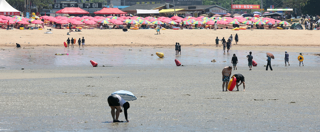 인천 해수욕장에 모래가 사라지고 있다…연안 침식 작용 '심각'