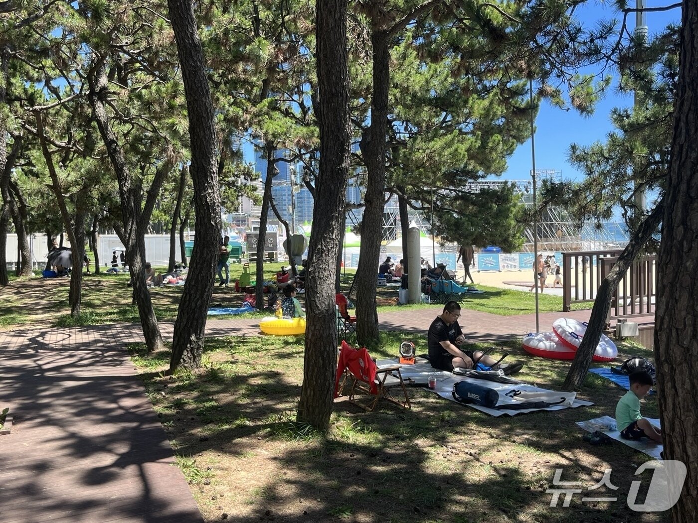 본문 이미지 - 27일 오후 부산 해운대해수욕장 인근 나무 그늘 아래 사람들이 돗자리를 펴고 앉아있다.2025.7.27/뉴스1 ⓒ News1 장광일 기자