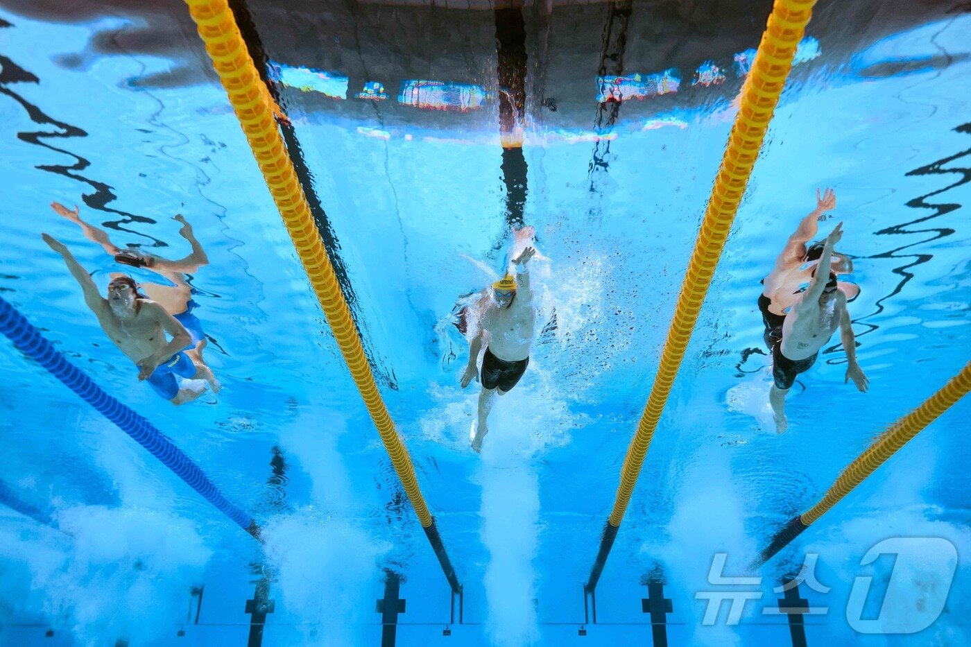 본문 이미지 - 김우민(왼쪽)이 27일 열린 2025 싱가포르 세계수영선수권대회 남자 자유형 400m 결선에서 새무얼 쇼트, 루카스 메르텐스와 역영하고 있다. ⓒ AFP=뉴스1